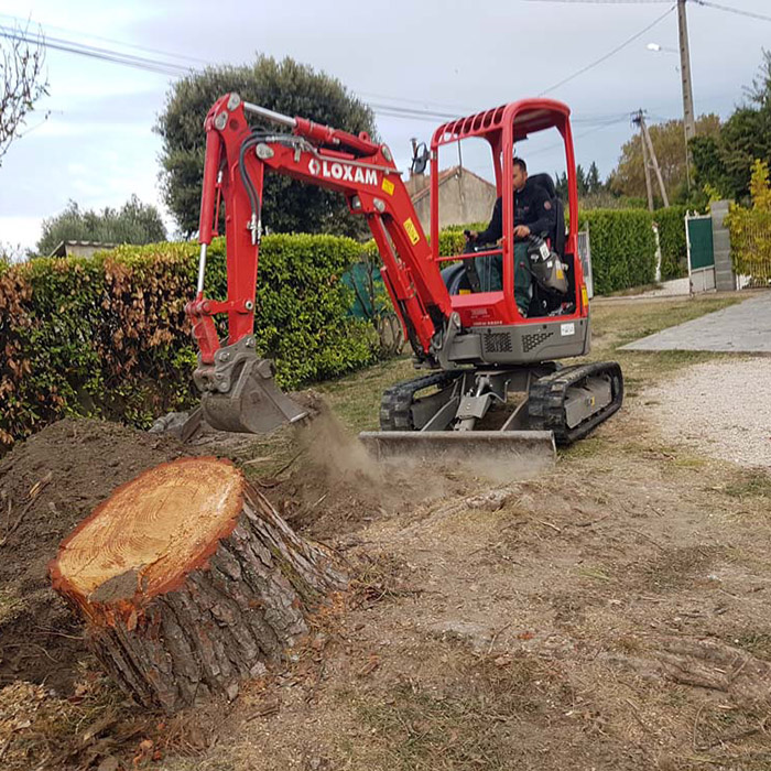 Entretiens de jardins