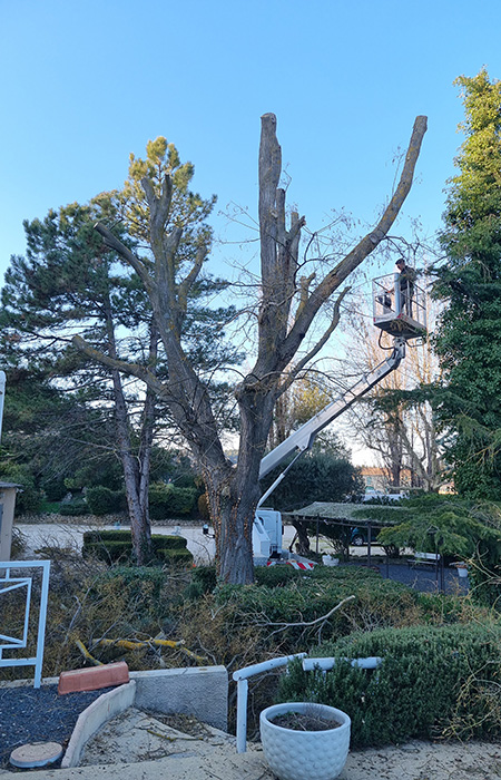 élagueur avec nacelle près d'Orange et Avignon