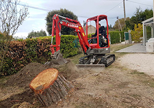 Élagage à Bédarrides près de Carpentras et Avignon