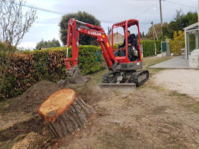 Élagage, Abattage et Entretien de Jardin