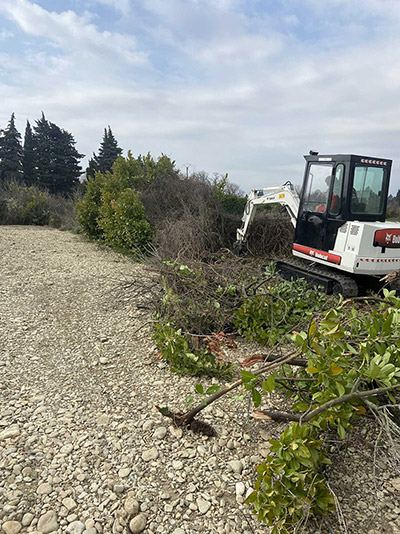 Entretien de jardin