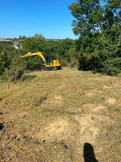 Élagage, Abattage et Entretien de Jardin