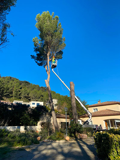 Élagage, Abattage et Entretien de Jardin