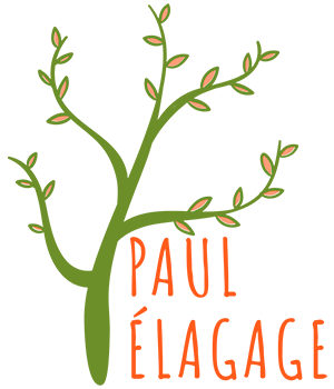 Paul élagage